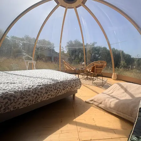 La Bulle De Clemence *